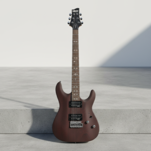 Vista general de la Schecter Omen-6 Walnut Satin